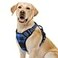 rabbitgoo Dog Harness No Pull with 2 Leash Clips Adjustable Soft Padded Reflective Oxford No Choke Pet Vest with Easy Control Handle for Large Dogs Blue Plaid L