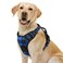 rabbitgoo Dog Harness No Pull with 2 Leash Clips Adjustable Soft Padded Reflective Oxford No Choke Pet Vest with Easy Control Handle for Large Dogs Blue Plaid L