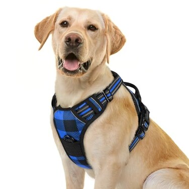 rabbitgoo Dog Harness No Pull with 2 Leash Clips Adjustable Soft Padded Reflective Oxford No Choke Pet Vest with Easy Control Handle for Large Dogs Blue Plaid L