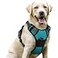 rabbitgoo Dog Harness No Pull with 2 Leash Clips Adjustable Soft Padded Reflective Oxford No Choke Pet Vest with Easy Control Handle for Large Dogs Teal L