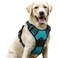 rabbitgoo Dog Harness No Pull with 2 Leash Clips Adjustable Soft Padded Reflective Oxford No Choke Pet Vest with Easy Control Handle for Large Dogs Teal L