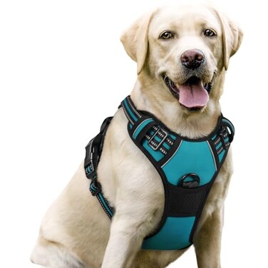 rabbitgoo Dog Harness No Pull with 2 Leash Clips Adjustable Soft Padded Reflective Oxford No Choke Pet Vest with Easy Control Handle for Large Dogs Teal L