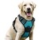 rabbitgoo Dog Harness No Pull with 2 Leash Clips Adjustable Soft Padded Reflective Oxford No Choke Pet Vest with Easy Control Handle for Large Dogs Teal L