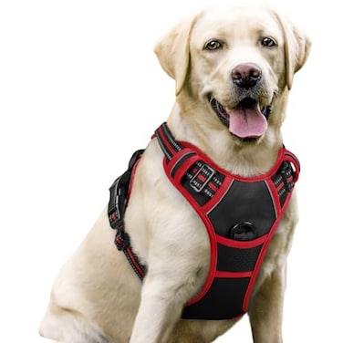 rabbitgoo Dog Harness No Pull with 2 Leash Clips Adjustable Soft Padded Reflective Oxford No Choke Pet Vest with Easy Control Handle for Large Dogs Black Red L
