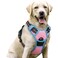 rabbitgoo Dog Harness No Pull with 2 Leash Clips Adjustable Soft Padded Reflective Oxford No Choke Pet Vest with Easy Control Handle for Large Dogs Pink Blue L