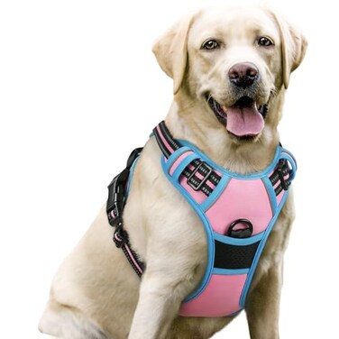 rabbitgoo Dog Harness No Pull with 2 Leash Clips Adjustable Soft Padded Reflective Oxford No Choke Pet Vest with Easy Control Handle for Large Dogs Pink Blue L