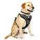 WINSEE Dog Harness No Pull Pet Harnesses with Dog Collar Adjustable Reflective Oxford Outdoor Vest FrontBack Leash Clips for Small Medium Large Extra Large Dogs Easy Control Handle for Walking
