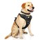 WINSEE Dog Harness No Pull Pet Harnesses with Dog Collar Adjustable Reflective Oxford Outdoor Vest FrontBack Leash Clips for Small Medium Large Extra Large Dogs Easy Control Handle for Walking