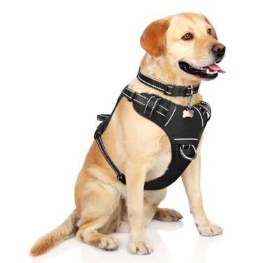 WINSEE Dog Harness No Pull Pet Harnesses with Dog Collar Adjustable Reflective Oxford Outdoor Vest FrontBack Leash Clips for Small Medium Large Extra Large Dogs Easy Control Handle for Walking
