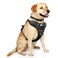WINSEE Dog Harness No Pull Pet Harnesses with Dog Collar Adjustable Reflective Oxford Outdoor Vest FrontBack Leash Clips for Small Medium Large Extra Large Dogs Easy Control Handle for Walking