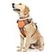 WINSEE Dog Harness No Pull Pet Harnesses with Dog Collar Adjustable Reflective Oxford Outdoor Vest FrontBack Leash Clips for Small Medium Large Extra Large Dogs Easy Control Handle for Walking