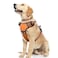 WINSEE Dog Harness No Pull Pet Harnesses with Dog Collar Adjustable Reflective Oxford Outdoor Vest FrontBack Leash Clips for Small Medium Large Extra Large Dogs Easy Control Handle for Walking