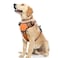WINSEE Dog Harness No Pull Pet Harnesses with Dog Collar Adjustable Reflective Oxford Outdoor Vest FrontBack Leash Clips for Small Medium Large Extra Large Dogs Easy Control Handle for Walking