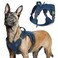 rabbitgoo Tactical Dog Harness for Large Dogs No Pull Military Service Vest with Handle Molle Easy Control for Training Walking Adjustable Reflective Straps Blue L