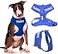 Dexil Training Dog in TrainingDo Not Disturb Blue Colour Coded NonPull Front and Back D Ring Padded and Waterproof Vest Dog Harness Prevents Accidents by Warning Others of Your Dog in Advance L