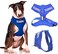 Dexil Training Dog in TrainingDo Not Disturb Blue Colour Coded NonPull Front and Back D Ring Padded and Waterproof Vest Dog Harness Prevents Accidents by Warning Others of Your Dog in Advance L