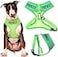 Dexil FRIENDLY Known as Friendly to all Green Color Coded NonPull Front and Back D Ring Padded and Waterproof Vest Dog Harness PREVENTS Accidents By Warning Others Of Your Dog In Advance L