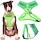 Dexil FRIENDLY Known as Friendly to all Green Color Coded NonPull Front and Back D Ring Padded and Waterproof Vest Dog Harness PREVENTS Accidents By Warning Others Of Your Dog In Advance L