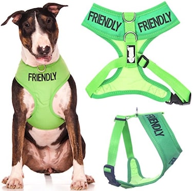 Dexil FRIENDLY Known as Friendly to all Green Color Coded NonPull Front and Back D Ring Padded and Waterproof Vest Dog Harness PREVENTS Accidents By Warning Others Of Your Dog In Advance L
