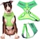 Dexil FRIENDLY Known as Friendly to all Green Color Coded NonPull Front and Back D Ring Padded and Waterproof Vest Dog Harness PREVENTS Accidents By Warning Others Of Your Dog In Advance L
