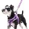 PUPTECK Dog Harness and Leash Set for Small Medium Dogs No Pull Stepin Soft Mesh Puppy Cat Vest Harnesses Reflective at Night Purple L