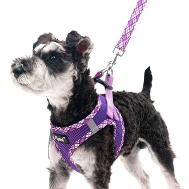 PUPTECK Dog Harness and Leash Set for Small Medium Dogs No Pull Stepin Soft Mesh Puppy Cat Vest Harnesses Reflective at Night Purple L