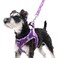 PUPTECK Dog Harness and Leash Set for Small Medium Dogs No Pull Stepin Soft Mesh Puppy Cat Vest Harnesses Reflective at Night Purple L