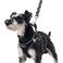 PUPTECK Dog Harness and Leash Set for Small Medium Dogs No Pull Stepin Soft Mesh Puppy Cat Vest Harnesses Reflective at Night Black M