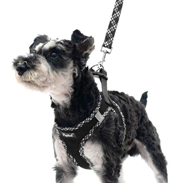 PUPTECK Dog Harness and Leash Set for Small Medium Dogs No Pull Stepin Soft Mesh Puppy Cat Vest Harnesses Reflective at Night Black M