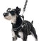 PUPTECK Dog Harness and Leash Set for Small Medium Dogs No Pull Stepin Soft Mesh Puppy Cat Vest Harnesses Reflective at Night Black M