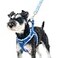 PUPTECK Dog Harness and Leash Set for Small Medium Dogs No Pull Stepin Soft Mesh Puppy Cat Vest Harnesses Reflective at Night Blue M