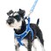 PUPTECK Dog Harness and Leash Set for Small Medium Dogs No Pull Stepin Soft Mesh Puppy Cat Vest Harnesses Reflective at Night Blue M