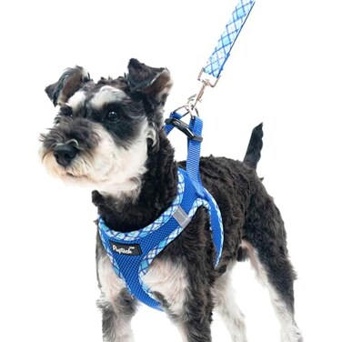 PUPTECK Dog Harness and Leash Set for Small Medium Dogs No Pull Stepin Soft Mesh Puppy Cat Vest Harnesses Reflective at Night Blue M