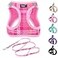 PUPTECK Dog Harness and Leash Set for Small Medium Dogs No Pull Stepin Soft Mesh Puppy Cat Vest Harnesses Reflective at Night Plaid Pattern Pink XS