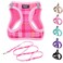 PUPTECK Dog Harness and Leash Set for Small Medium Dogs No Pull Stepin Soft Mesh Puppy Cat Vest Harnesses Reflective at Night Plaid Pattern Pink XS