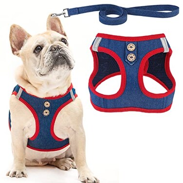 PUPTECK Dog Harness and Leash Set for Small Medium Dogs No Pull Stepin Soft Mesh Puppy Cat Vest Harnesses Reflective at Night Denim NavyBlue M