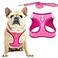 PUPTECK Dog Harness and Leash Set for Small Medium Dogs No Pull Stepin Soft Mesh Puppy Cat Vest Harnesses Reflective at Night Denim Pink S