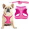 PUPTECK Dog Harness and Leash Set for Small Medium Dogs No Pull Stepin Soft Mesh Puppy Cat Vest Harnesses Reflective at Night Denim Pink S