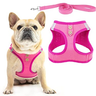 PUPTECK Dog Harness and Leash Set for Small Medium Dogs No Pull Stepin Soft Mesh Puppy Cat Vest Harnesses Reflective at Night Denim Pink S