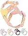 Petank Pink Small Dog Harness No Pull Dog Harness with 2 Leash Clips Adjustable Dog Vest Harness Pink S