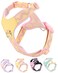 Petank Pink Small Dog Harness No Pull Dog Harness with 2 Leash Clips Adjustable Dog Vest Harness Pink S