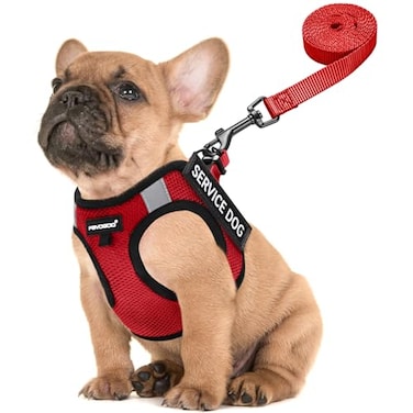 FAYOGOO Service Dog Vest for Small Dogs Lightweight Dog Harness with 6PCS Removable Patches Puppy Harness and Leash Set for WalkingTraining
