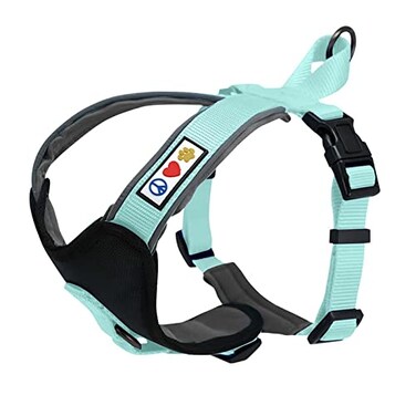 Pawtitas Reflective Padded Dog Harness for Medium Dogs Adjustable Stepin Vest Fits Chest 2228 in No Pull Training Harness M Teal