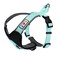 Pawtitas Reflective Padded Dog Harness for Medium Dogs Adjustable Stepin Vest Fits Chest 2228 in No Pull Training Harness M Teal