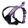 Pawtitas Reflective Padded Dog Harness for Medium Dogs Adjustable Stepin Vest Fits Chest 2228 in No Pull Training Harness M Orchid
