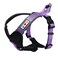 Pawtitas Reflective Padded Dog Harness for Medium Dogs Adjustable Stepin Vest Fits Chest 2228 in No Pull Training Harness M Orchid
