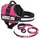 Industrial Puppy Service Dog Vest with Hook and Loop Straps Matching Leash Set Harnesses from XXS to XXL Service Dog Harness Features Reflective Patch and Comfortable Mesh Design Pink XXS