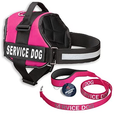 Industrial Puppy Service Dog Vest with Hook and Loop Straps Matching Leash Set Harnesses from XXS to XXL Service Dog Harness Features Reflective Patch and Comfortable Mesh Design Pink XXS