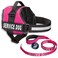Industrial Puppy Service Dog Vest with Hook and Loop Straps Matching Leash Set Harnesses from XXS to XXL Service Dog Harness Features Reflective Patch and Comfortable Mesh Design Pink XXS