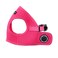 Puppia Neon Soft Vest Harness Stepin No Choke No Pull Walking Training for Small and Medium Dog Pink Medium